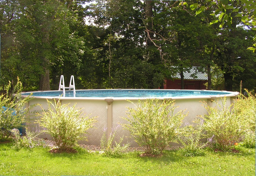 dolphin pools & spas